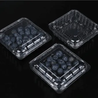 บรรจุภัณฑ์แบบฝาพับบลูเบอร์รี่ กล่องบรรจุผลไม้ตัดสด บรรจุภัณฑ์ผลไม้ บรรจุภัณฑ์ภาชนะผลไม้แบบฝาพับบลูเบอร์รี่